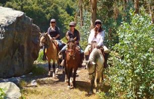 Randonnée à cheval dans la Cordillère des Andes en matinée - Au départ de Santiago